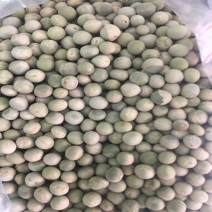 Natural Dried Green Dried Pea Petits Pois Dried Green Peas Beans Dried Whole Green Peas <b>For</b> <b>Sale</b> - Product Image 1