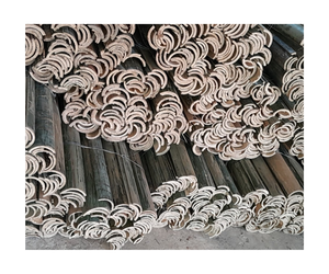 Demi poteau en bambou agriculture grande taille gros lamelle de bambou split moso attelle en bambou/bambou fendu vert/jaune - Product Image 6