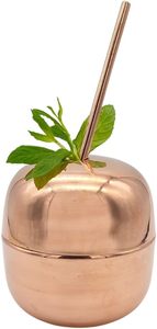 Wholesale <b>Metal</b> Juice Mug with <b>Straw</b> in Best Price From India Custom Logo Available - Product Image 4