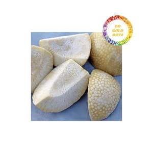 Fruta del Pan Congelada a Granel de Alta Calidad para Exportación, Precios al por Mayor Disponibles, Perfecta para la Elaboración de Alimentos y Cocina - Product Image 6