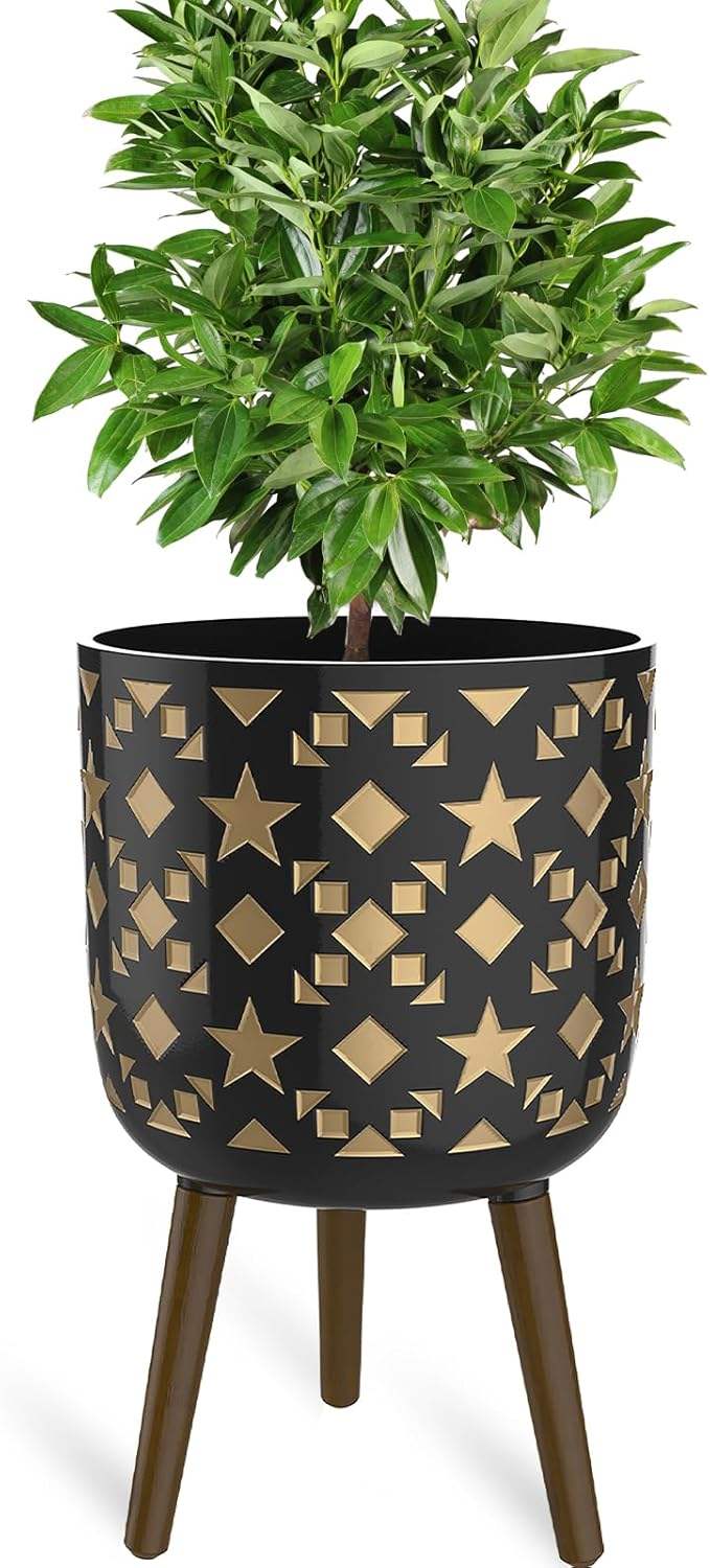 ตามที่แสดง