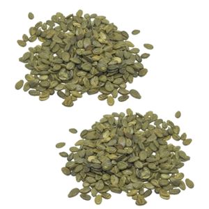 Semillas de Sandía PCA Premium F1 de Alta Calidad para Venta al por Mayor, Hechas a Mano en Indonesia, 6 Meses de Vida Útil, Listas para Plantar - Product Image 3