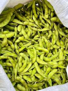 Meilleure vente de soja vert glacé-haute qualité et meilleur prix du Vietnam - Product Image 2