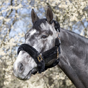 Fait à la main en peau de mouton Nylon Satin anglais selle Style réglable personnalisable cheval équestre licou - Product Image 2