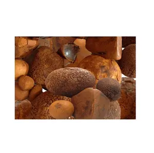 Quality dried Cow Ox Gallstones | Cattle Gallstones| Cow Gallstones and Bezoar