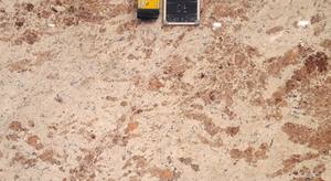 Producto de estilo de diseño moderno Bhama Ivory - Product Image 3