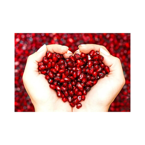 Wholesale <b>Fresh</b> <b>Pomegranate</b> Seeds for Superfood Blends Supplements Nutrient Rich Bulk Supply Verified Manufacturer Food Grade - Product Image 3