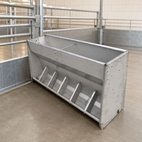 Mangeoire simple face en acier inoxydable à 6 trous pour porcs d'engraissement – Équipement d'alimentation agricole robuste