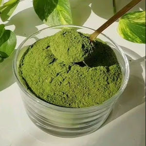 Poudre de Moringa 100% Originale Superaliment Disponible en Vrac Testée en Laboratoire Certifiée GMP Vente en Gros Disponible - Product Image 1