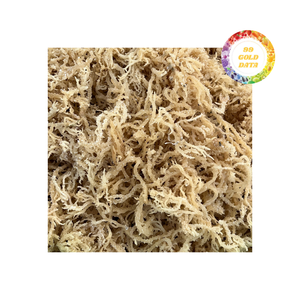 Bulk Wholesale <b>Dried</b> Cottonii Seaweed Sea Moss with Standardized Drying and Sorting-Vietnam Carrageenan <b>Plants</b> - Product Image 2