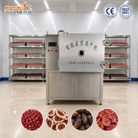 Machine de lyophilisation des fruits certifiée CE en acier inoxydable 304 pour fruits, grenades, figues et dattes