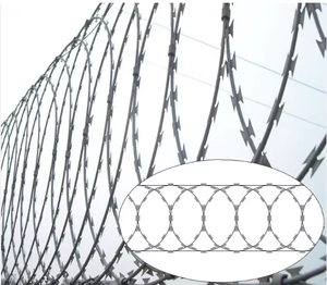 Fil de fer <span class=keywords><strong>barbelé</strong></span>, <span class=keywords><strong>barbelé</strong></span> anti-oiseaux, lames de protection, épines, fil de <span class=keywords><strong>barbier</strong></span> anti-escalade, fil de rasoir droit - Product Image 3