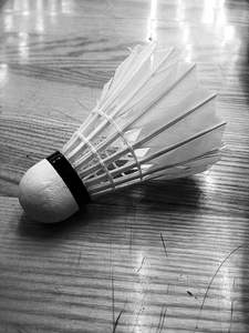 Volant Pluma X design logo personnalisé professionnel - Product Image 3