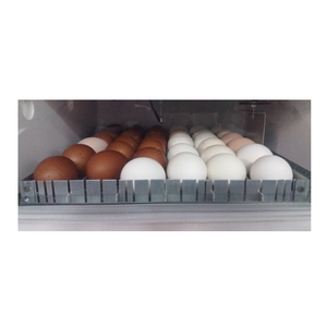 Incubatrici automatiche per uova di piccole dimensioni Made in Italy di alta qualità 36 uova di gallina PIOPIO 36 D - Product Image 6