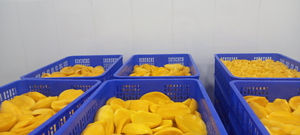 Mango amarillo congelador tropical IQF, precio barato, venta a granel, origen vietnamita - Product Image 5