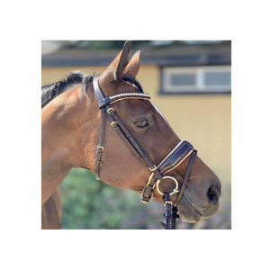 บังเหียนม้าแบบสแนฟเฟิลสีน้ำตาลเงาคุณภาพดีที่สุด ราคาขายส่ง สินค้าคุณภาพ - Product Image 1