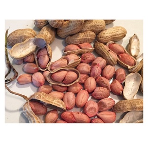 Especificación para el precio del grano de cacahuete molido - Product Image 3