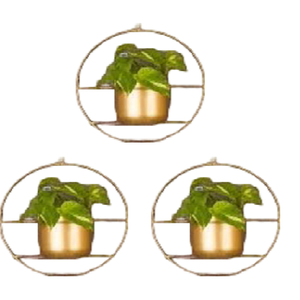 Maceta colgante de hierro, diseño de soporte de anillo circular con maceta con acabado dorado, colgante de pared para el hogar, jardín, balcón, sala de estar - Product Image 2