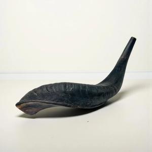 Cuerno de Shofar de Carnero Natural Pulido - Decoración Religiosa Ecológica para el Hogar de Alta Calidad - Product Image 1