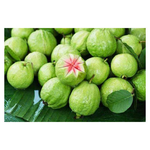 ผลไม้ฝรั่งสดหอมหวานฉ่ำแบบเขตร้อน - Product Image 4