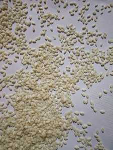 เมล็ดงาดำปอกเปลือกคุณภาพพรีเมียม เมล็ดธรรมชาติคุณภาพสูงสำหรับทำอาหาร อบขนม ของว่าง และสูตรอาหารเพื่อสุขภาพ - Product Image 5