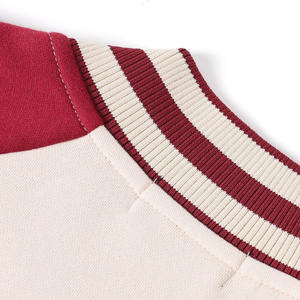 Veste en molleton de baseball Phi Nu Pi, col montant, logo frontal, broderie chenille, taille unisexe, vêtements grecs, hiver - Product Image 3