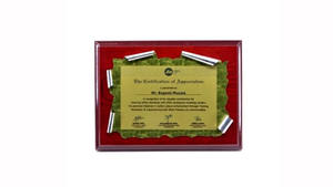 Plaque dorée à motif élégant très demandée pour les bureaux et les institutions, disponible pour une livraison mondiale - Product Image 2