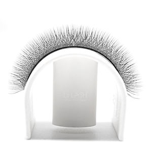 Narrow W lash extra volume effect clover W long stem premade <b>fans</b> C CC D lash supplies wholesale - Product Image 6