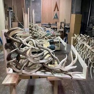 เขากวางแดงทั้งตัวตามธรรมชาติ - Product Image 1