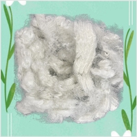 Fibre de polyester creuse conjuguée recyclée 10D 64mm non siliconée ignifuge PSF pour le rembourrage de textiles de maison et de vêtements