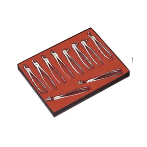 Lot de 10 pinces d'extraction dentaire Forceps d'extraction dentaire Modèle anglais