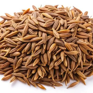 Auténticas mezclas de especias indias, audaz aromático 100%, semilla de comino seca entera Natural, vida útil de 12 meses para hogares, hoteles, catering - Product Image 1