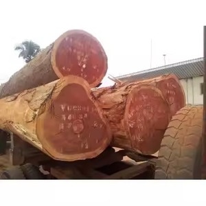 Doussie Timber Haute Qualité Divers Types pour l'Utilisation des Meubles-Pin Eucalyptus Chêne Épicéa Bois de Santal - Product Image 4