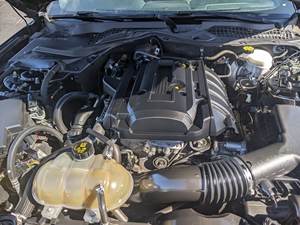 Ford Mustang EcoBoost 2019 Negro, Usado, en Buen Estado - Product Image 6