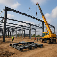 Nave de Cría de Aves y Ganado con Estructura de Acero Ligero Galvanizado Personalizada, Gallinero Prefabricado para Pollos de Engorde y Ponedoras