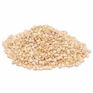 100% 纯天然品质有机种子白藜麦谷物保健谷物批发价格最好