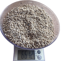 Meilleur prix pour poivre blanc séché en usine 630 GL, doublement lavé, traitement brut, directement du Vietnam Binh Phuoc, durée de conservation de 2 ans