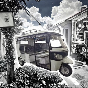 รถสามล้อไฟฟ้า 60 โวลต์ แบบมีหลังคา สำหรับผู้พิการ  2 แถว ความเร็วสูง ได้รับการรับรองมาตรฐาน EEC - Product Image 2