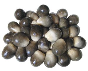 เห็ดแห้งเห็ดปลวกเห็ดแห้งมุมผู้ผลิต - Product Image 6