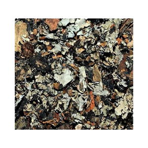 Fleur de pierre noire Kalpasi indienne Herbes et épices séchées de qualité supérieure pour la cuisson des assaisonnements Fourniture en gros Qualité d'exportation - Product Image 1