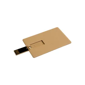 Chiavetta USB a Forma di Carta in Paglia di Grano, Design Ecologico per Gadget Promozionali - Product Image 2