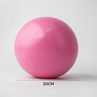 Bola Yoga Mini Pilates PVC 20cm Grosir - Tahan Lama Anti-Pecah Ukuran Kustom untuk Latihan Inti & Kebugaran