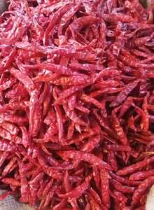 Chile rojo seco de Guntur sin tallo, producto de especias y hierbas de primera calidad, ideal para cocinar, sazonar y uso culinario. - Product Image 2