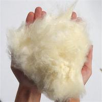 Fibre de Kapok Naturelle 100% Fabriquée à Partir de Kapok Matière de Remplissage de Filature Brute Écologique Antibactérien Respirant Produit au Vietnam