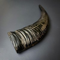Cornes de buffle naturelles pour boisson, écologiques, en matériau organique, polies, de haute qualité, pour décoration religieuse, animale, maison, mariage, 20-60 cm