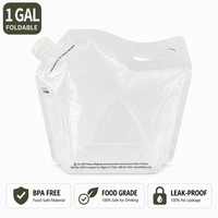 Sac d'eau pliable en plastique de 1 gallon, qualité alimentaire, avec bec verseur, portable, pour camping et boissons en extérieur, vente en gros
