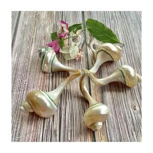 Restaurante de alta calidad Soporte de descanso de palillos personalizado Estilo moderno Venta al por mayor CONCH SHELL Precio barato Vajilla - Product Image 6