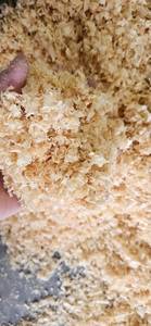 High Demand Premium wood shaving <b>bedding</b> Natural livestock <b>bedding</b> Agriculture pet care shavings High-quality organic <b>bedding</b> - Product Image 2
