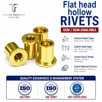 TianFang, fabricant de rivets tubulaires creux à tête plate en cuivre et titane sur mesure, fabricant OEM de fixations de précision pour l'électronique automobile