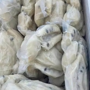 Guanabana Guyabano Soursop Graviola ผลไม้จากเวียดนามขายส่งจำนวนมาก - Product Image 1